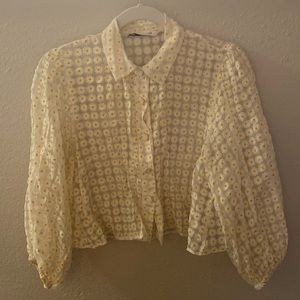 Zara Sheer Daisy Button Down Top